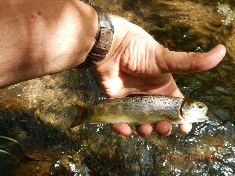 -Kettle Valley-115-.jpg